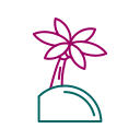 palmera icon