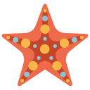 estrella de mar icon