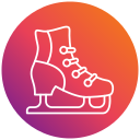 patinaje icon