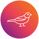 pájaro icon