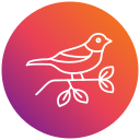 pájaro icon