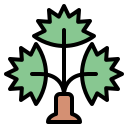 palmera icon