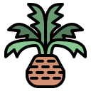 palmera icon