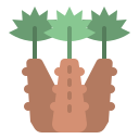 palmera icon