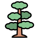 Árbol icon