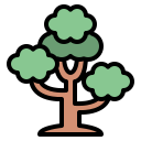 Árbol icon