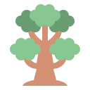 Árbol