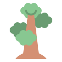 Árbol