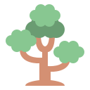 Árbol icon