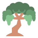 Árbol