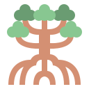 Árbol icon