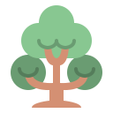 Árbol