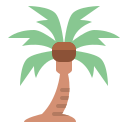 palmera icon