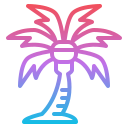 palmera icon