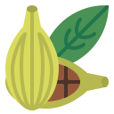 cardamomo icon