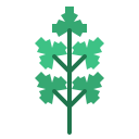 cilantro icon