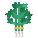 cilantro icon