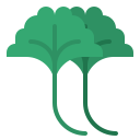 gingko icon