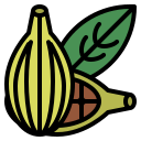 cardamomo icon