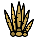 herbario icon