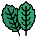 menta icon