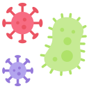bactéries 