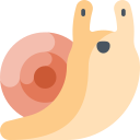 caracol icon