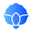 coliflor icon