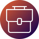 bolsa icon