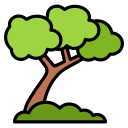 Árbol icon