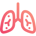 pulmones 