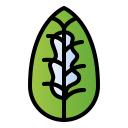 maranta icon