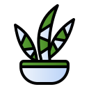 planta de cebra icon