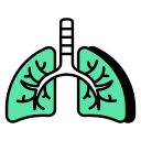 pulmones