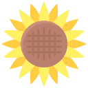 girasol icon