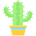 cactus icon