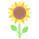 girasol icon