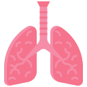 pulmones icon