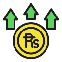 rupia icon