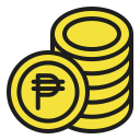 peso icon