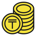 tenge icon