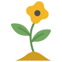 blume