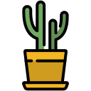 cactus icon