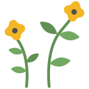 flor icon