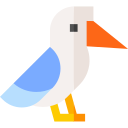 pájaro