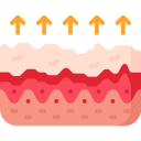 piel seca icon