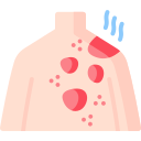 erupción cutanea icon