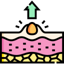 espinilla icon