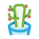 cactus icon