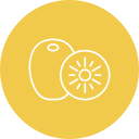 kiwi icon